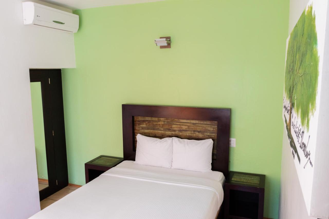 Happy Express Hotel Oaxaca المظهر الخارجي الصورة